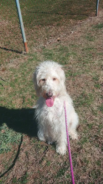 Raynham Veterinary Hospital, Inc. Picture 7