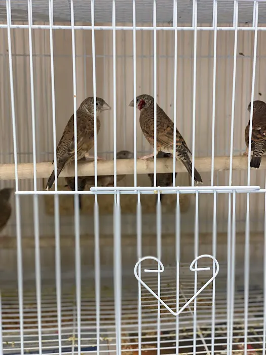 Yoan & Son Pet Shop Picture 3