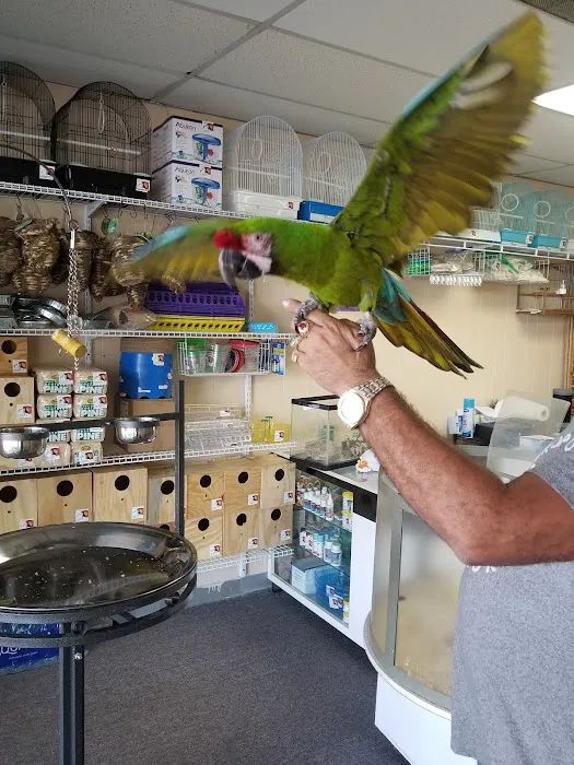 Yoan & Son Pet Shop Picture 1