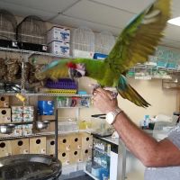 Yoan & Son Pet Shop ico