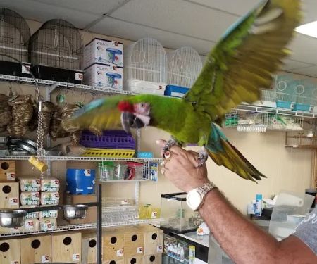 Yoan & Son Pet Shop