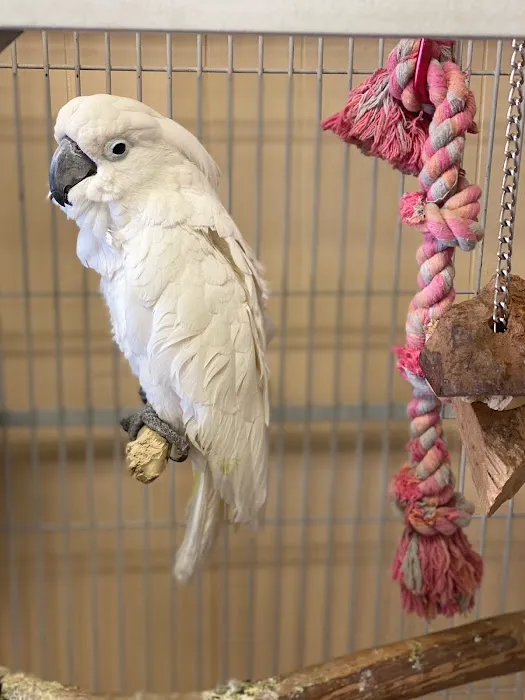 Yoan & Son Pet Shop Picture 4