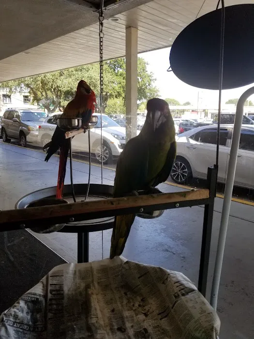 Yoan & Son Pet Shop Picture 7