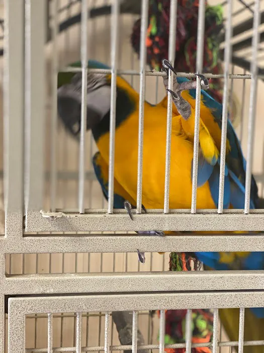 Yoan & Son Pet Shop Picture 9