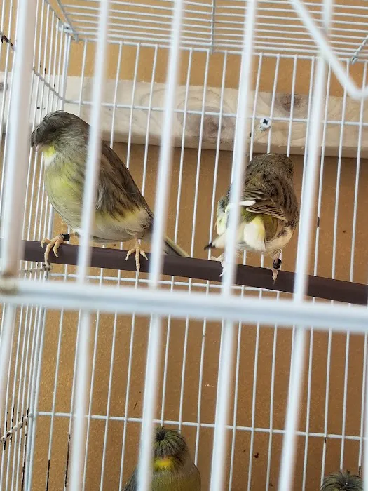 Yoan & Son Pet Shop Picture 8