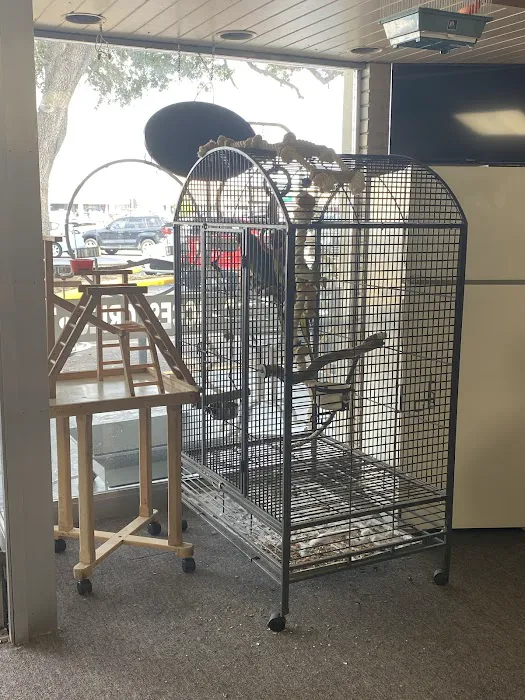 Yoan & Son Pet Shop Picture 10