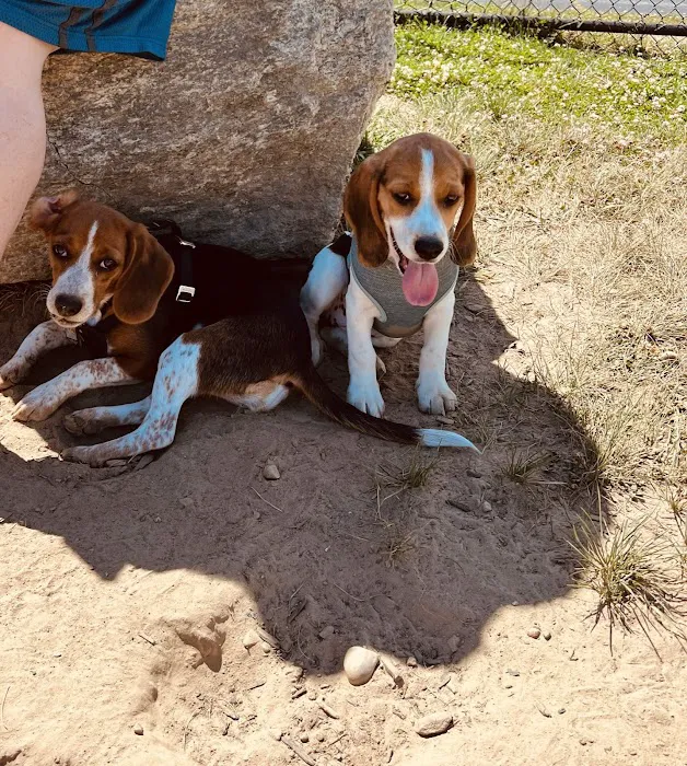 Bristol County Animal Clinic-Jenna Dale, D.V.M Picture 6