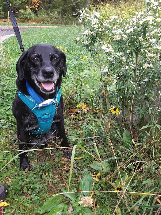 Bristol County Animal Clinic-Jenna Dale, D.V.M Picture 9