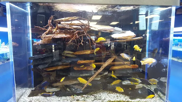 Marine Warehouse Aquarium Picture 4