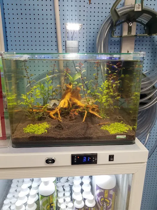 Marine Warehouse Aquarium Picture 5