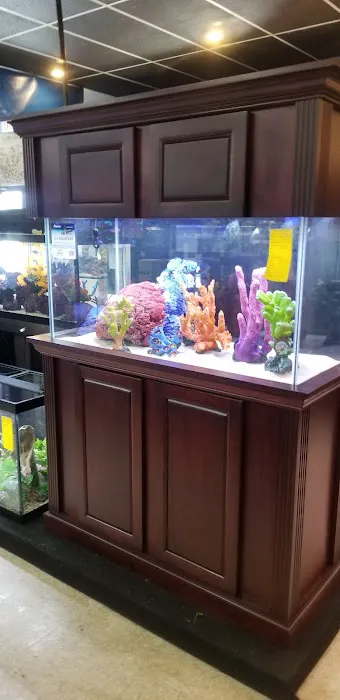 Marine Warehouse Aquarium Picture 6