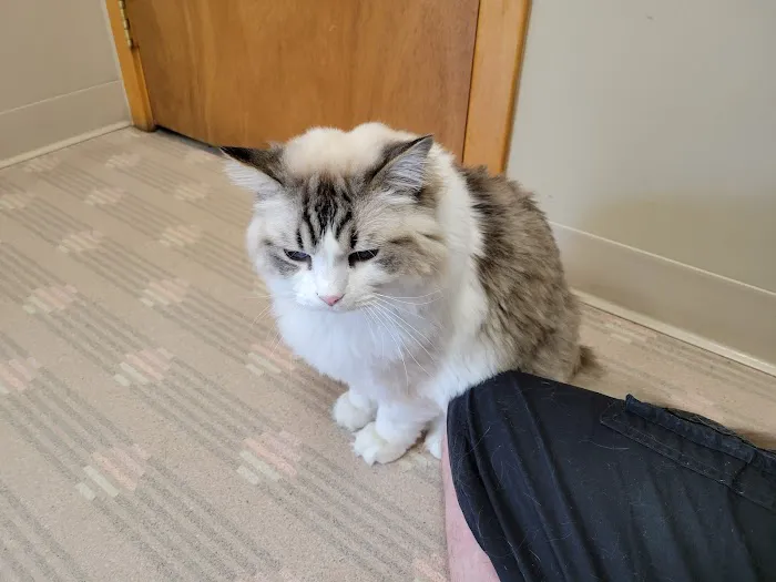 Mansfield Veterinary Health Center Picture 3