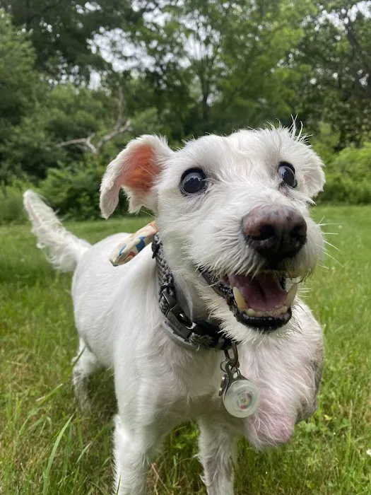 Mansfield Veterinary Health Center Picture 5