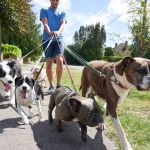 Lakeville Animal Hospital