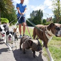Lakeville Animal Hospital ico