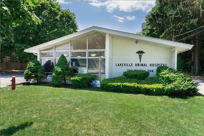 Lakeville Animal Hospital Picture 3