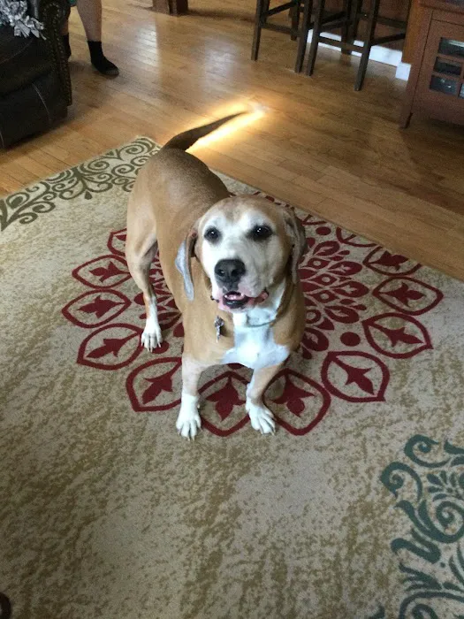 Lakeville Animal Hospital Picture 8