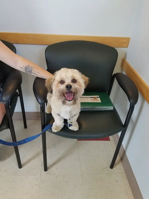 Lakeville Animal Hospital Picture 9