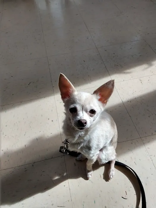 Lakeville Animal Hospital Picture 10