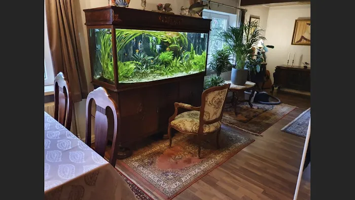 Aquazul Tropical Fish LLC Picture 9