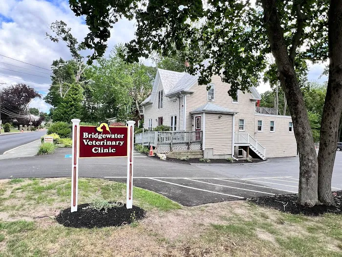 Bridgewater Veterinary Clinic Picture 3