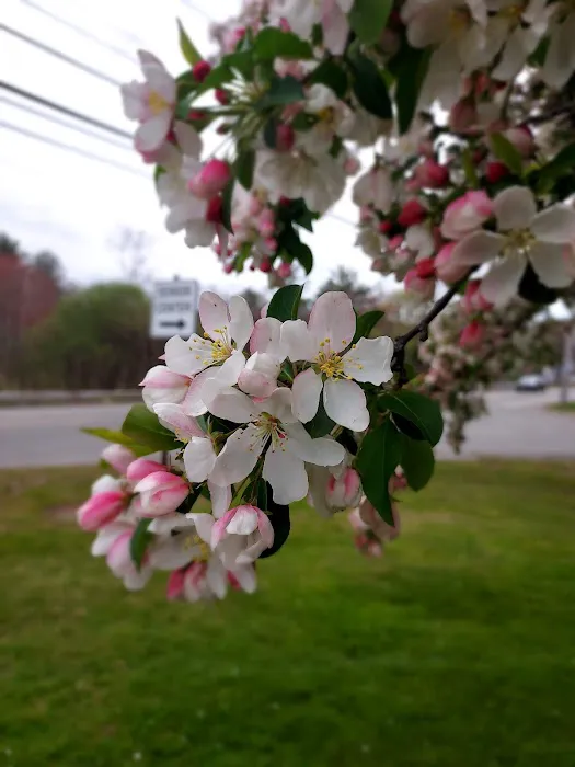 Bridgewater Veterinary Clinic Picture 7