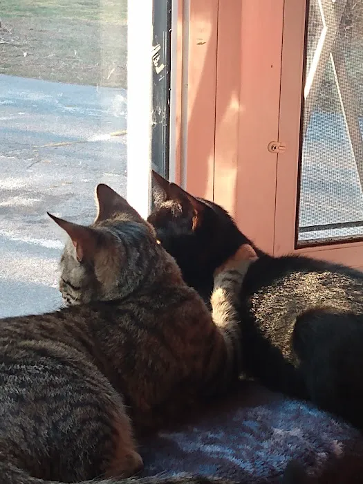 Bridgewater Veterinary Clinic Picture 5