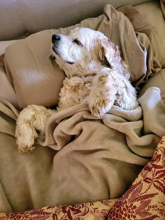 Bridgewater Veterinary Clinic Picture 6