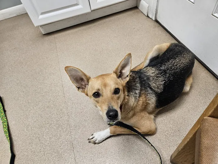 Bridgewater Veterinary Clinic Picture 9