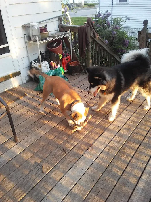 Bridgewater Veterinary Clinic Picture 8