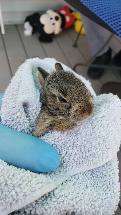 Westbridge Veterinary Referral Hospital Picture 6