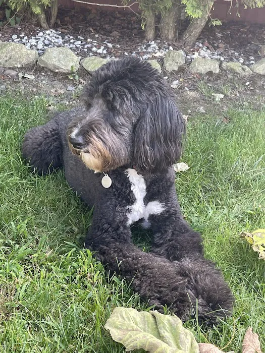 Westbridge Veterinary Referral Hospital Picture 7