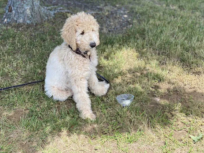 Westbridge Veterinary Referral Hospital Picture 8