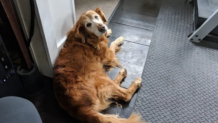 Westbridge Veterinary Referral Hospital Picture 10