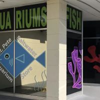 St. Pete Saltwater Aquarium Store ico