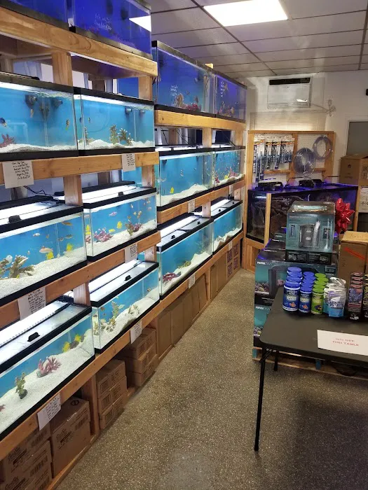 St. Pete Saltwater Aquarium Store Picture 2