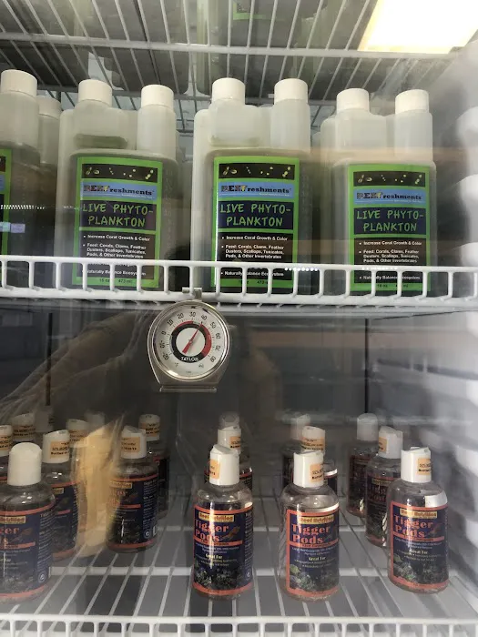 St. Pete Saltwater Aquarium Store Picture 4