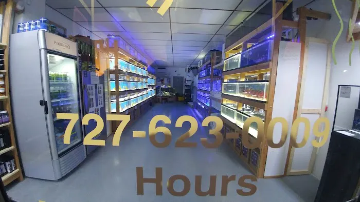 St. Pete Saltwater Aquarium Store Picture 7