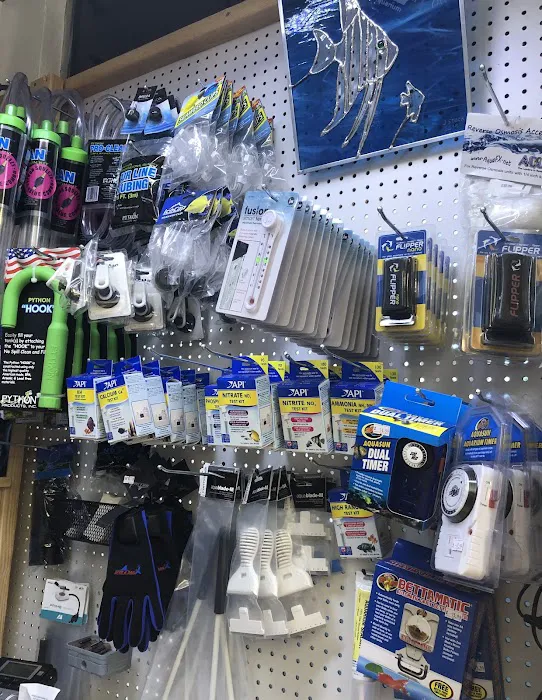 St. Pete Saltwater Aquarium Store Picture 10