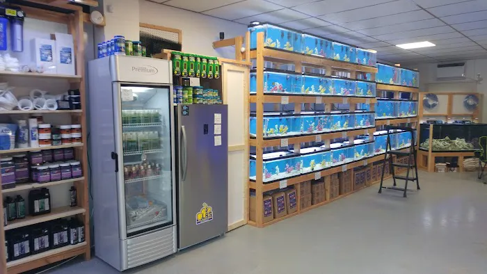 St. Pete Saltwater Aquarium Store Picture 9