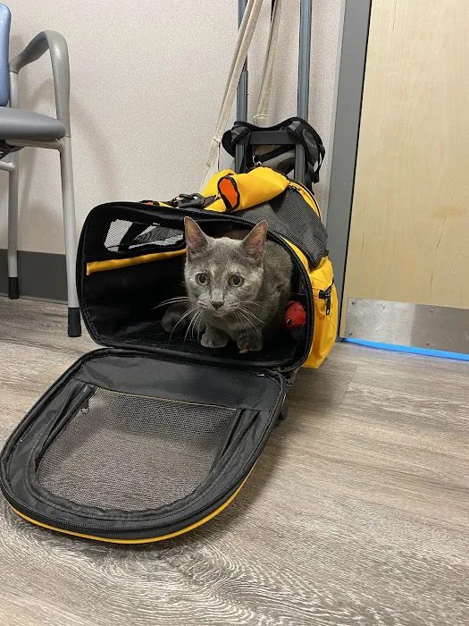 New England Animal Medical Center Primary Care Picture 5