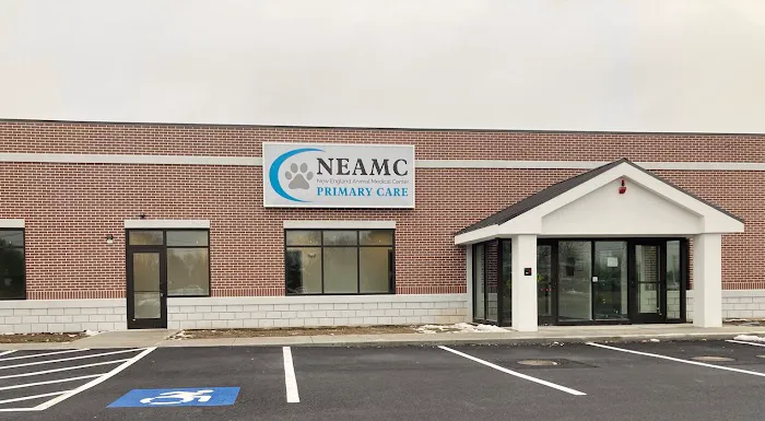New England Animal Medical Center Primary Care Picture 3