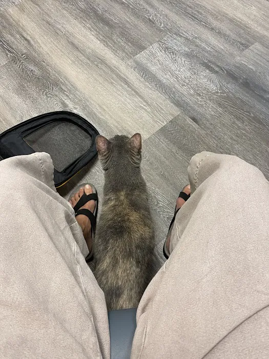 New England Animal Medical Center Primary Care Picture 6