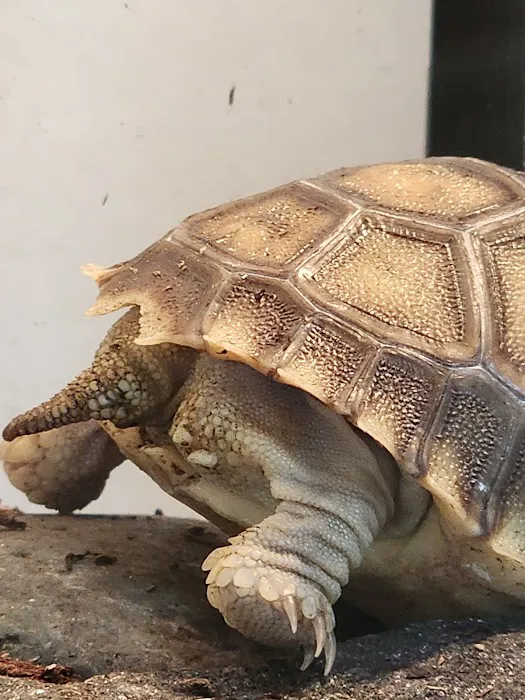 ZOO HOUSE, LLC Picture 2