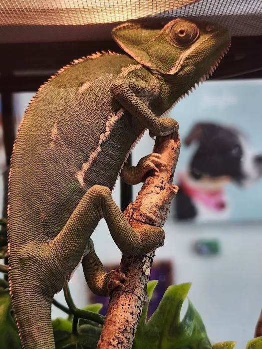 ZOO HOUSE, LLC Picture 1