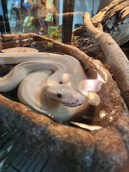 ZOO HOUSE, LLC Picture 4