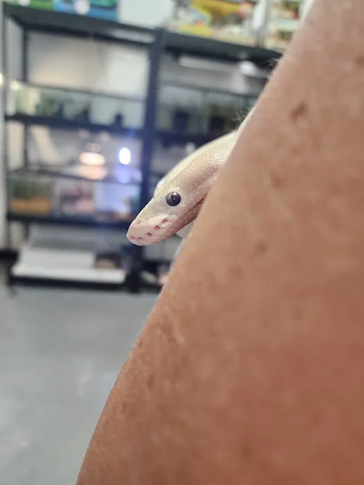 ZOO HOUSE, LLC Picture 7