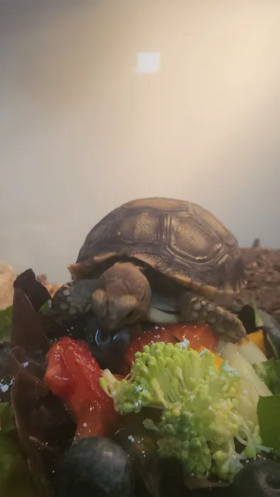 ZOO HOUSE, LLC Picture 5