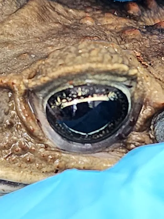 ZOO HOUSE, LLC Picture 9