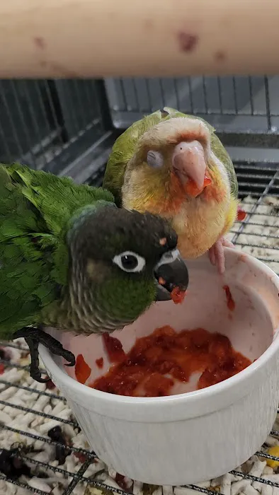 ZOO HOUSE, LLC Picture 8